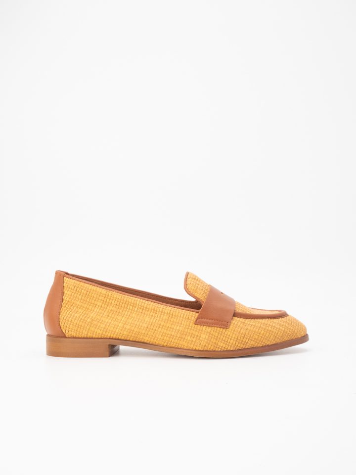 Angel Alarcon camel