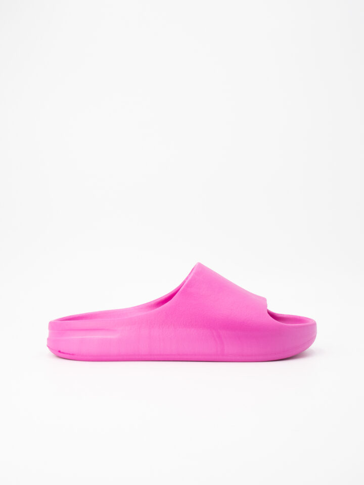 natural world fuchsia